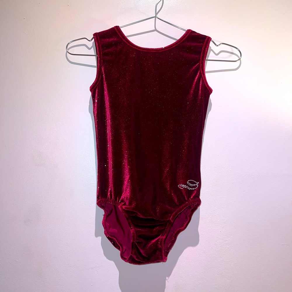 Burgundy Velvet Leotard